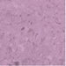 LAVANDA