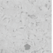 LIGHT_WARM_GREY